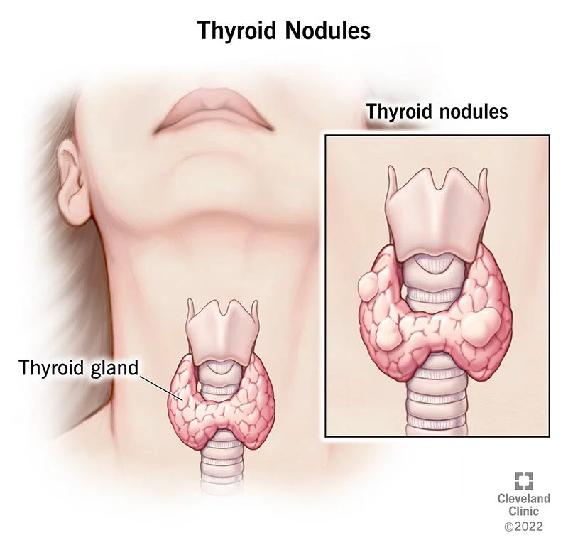 Does Drinking Cum Help Your Thyroid?